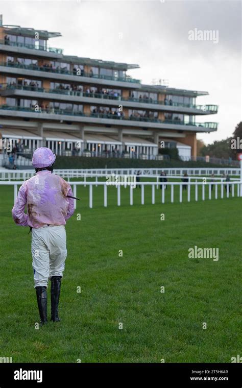 jipcot horse|Jipcot Thoroughbred Horse Profile .